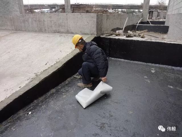 防水抹面施工资料下载-屋顶绿化的防水施工技术要点