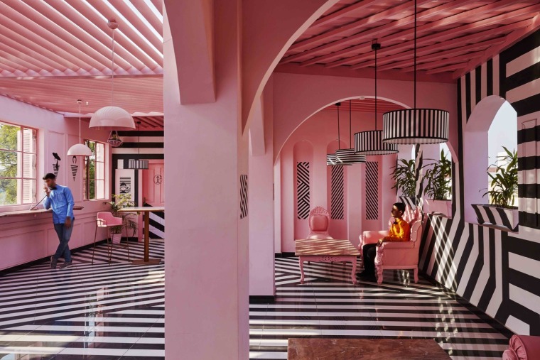 独特造型的住宅资料下载-粉红斑马套装的住宅