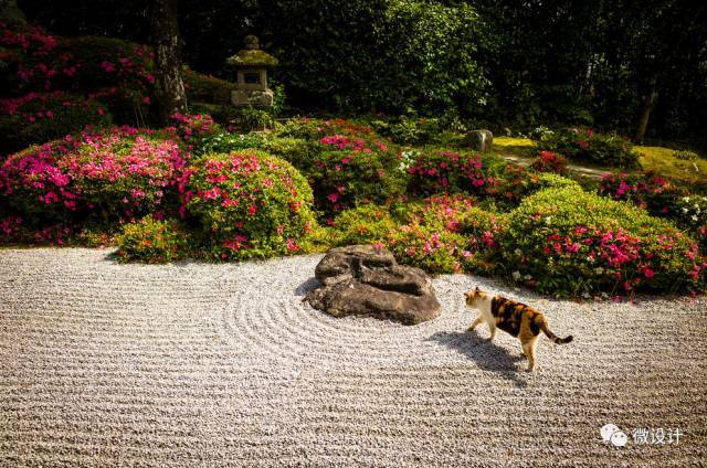 日本15个最美枯山水庭院_42