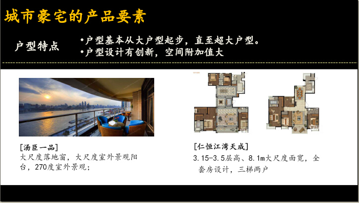 [南京]住宅地块项目产品价值点建议报告（图文并茂）-户型特点