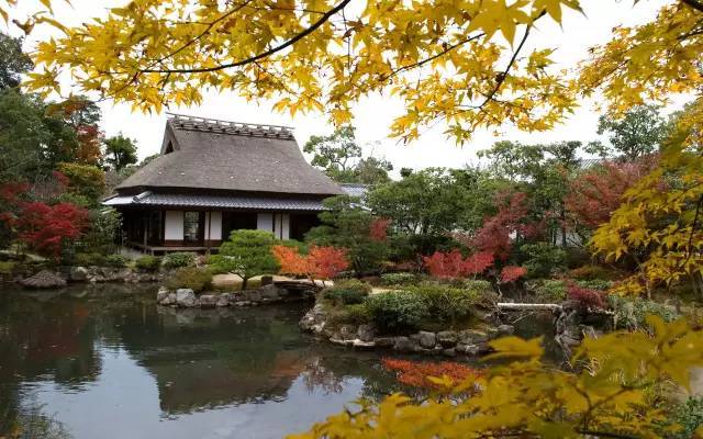 日式和风庭院资料下载-美国庭院杂志选出的最美日本庭院TOP20