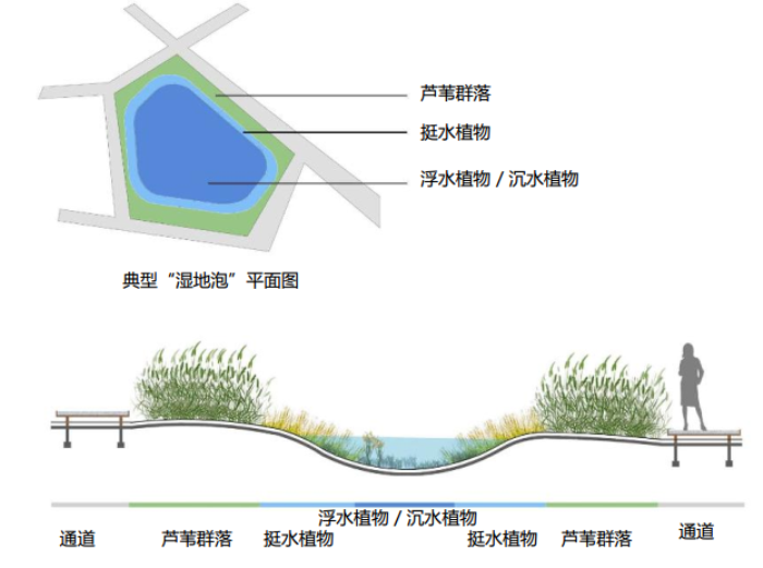 [河北]禅墨水韵生态湿地景观概念方案-场地适应性湿地研究