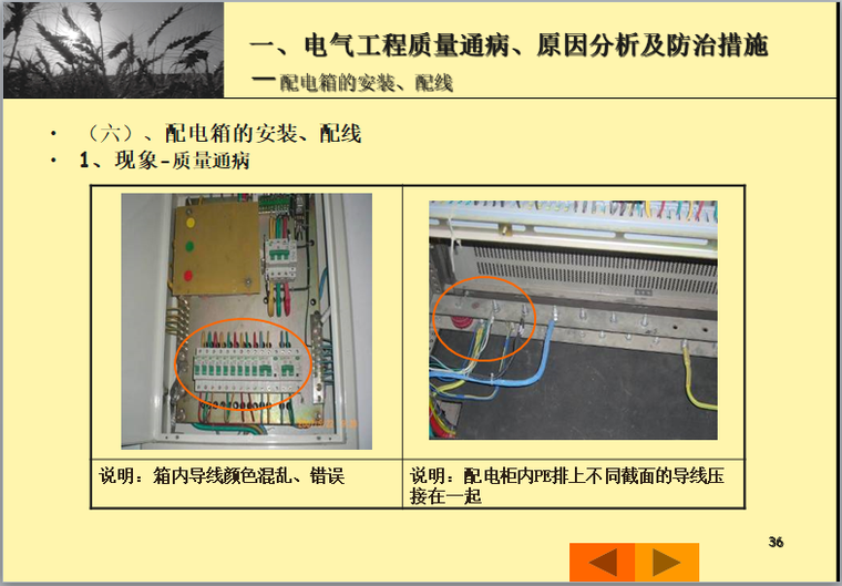 建筑电气工程质量通病与防治（防治案例）-配电箱的安装、配线质量通病