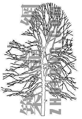 树立面CAD图集资料下载-树立面5