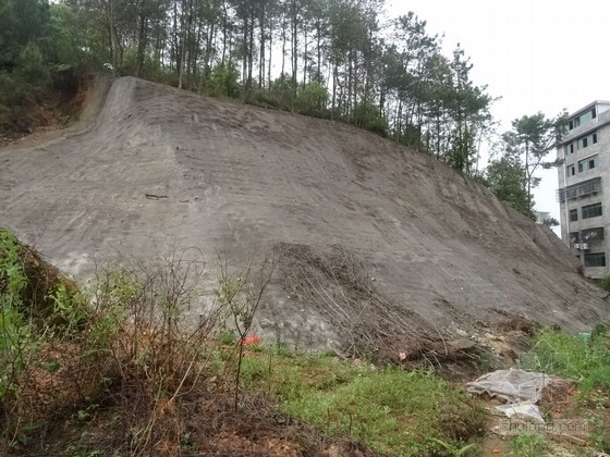 江西住宅小区方案资料下载-[江西]住宅小区地质灾害危险性评估报告