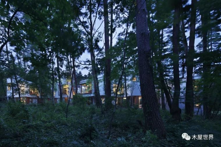 树林里的小旅馆，日本大仙住宅_9