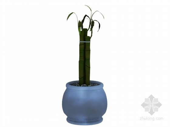 大盆栽植物资料下载-室内大盆栽3D模型下载