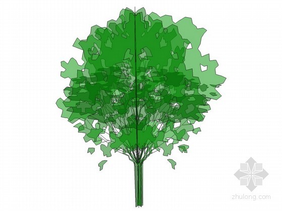 卡通树3dmax模型资料下载-绿色树sketchup模型