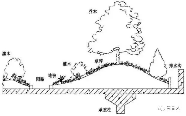 屋顶花园·干货来袭_9