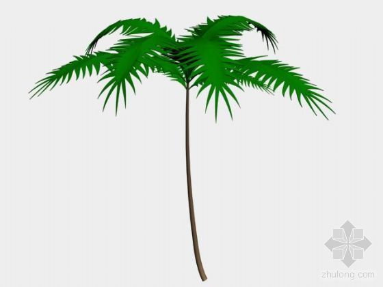 印尼巴利岛热带安加拉别墅资料下载-热带树模型