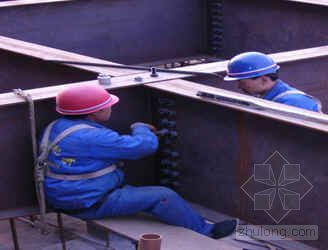 钢骨架轻型板网架资料下载-型钢骨架结构安装施工工法