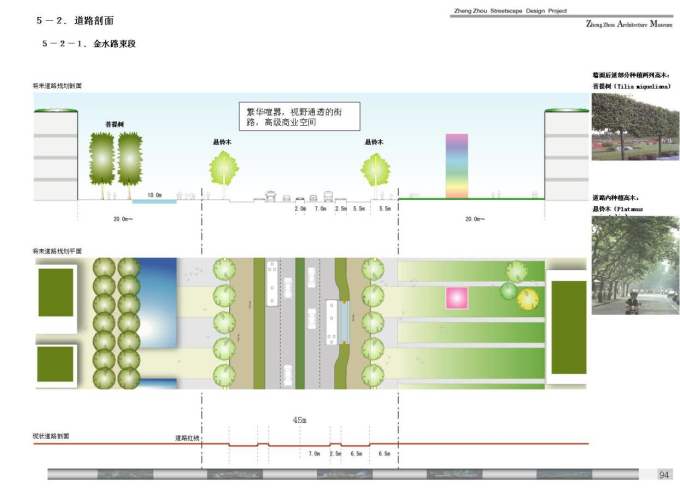 [河南]郑州城市景观大道概念性规划设计-道路剖面