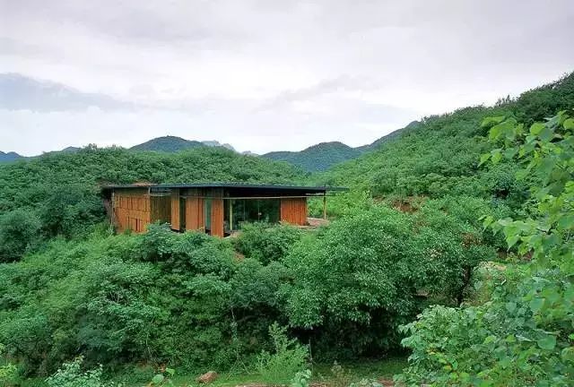 西方建筑大师资料下载-日本建筑大师隈研吾出新作，爱设计的你看了挪不动腿！