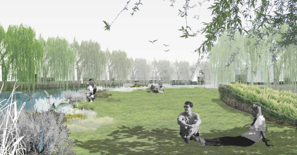 [重庆]生态示范性混合式滨水绿地公园景观规划设计方案-阳光草坪景观效果图