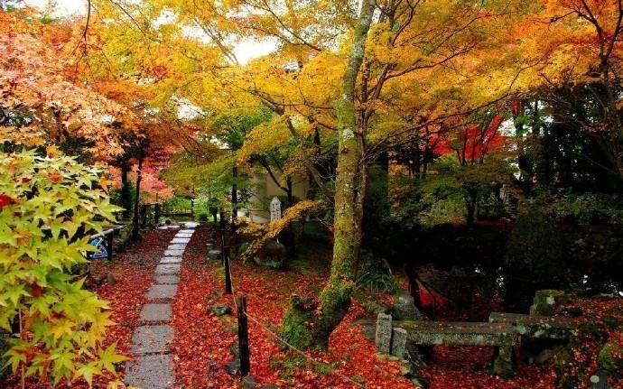 日本古色园林建筑设计风格-7880e13bgy1fgmr3ps2vhj20j60bz783.jpg