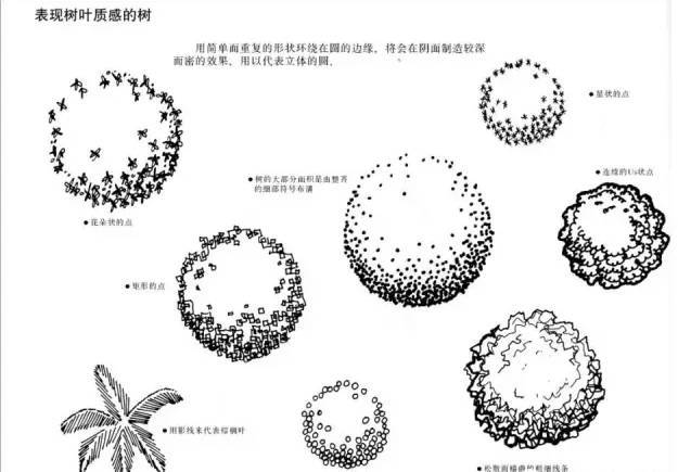景观快题设计中植物表达技法！_9
