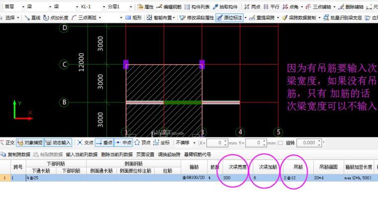 这个的次梁加筋和吊筋怎么填？_1