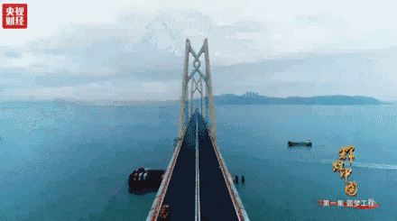 港珠澳大桥施工超级工程资料下载-复杂项目管理|港珠澳大桥主体工程管理思想与实践
