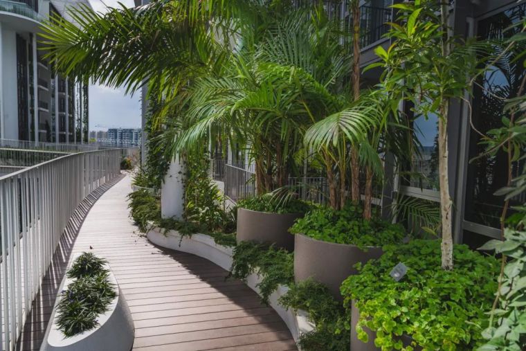 ​8个新加坡豪宅设计，超有设计感_36