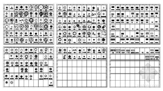 园林苗木养护方案资料下载-最新园林苗木图例