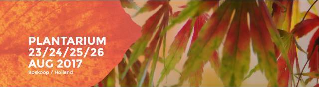 创意盆栽植物资料下载-Plantarium展会上的顶级景观植物，你认识几种
