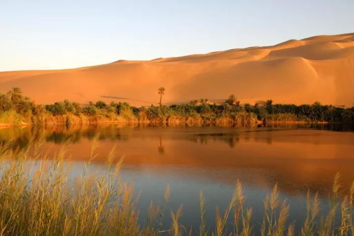 沙漠环境治理资料下载-震撼黑科技来袭：加点胶水 沙漠变良田