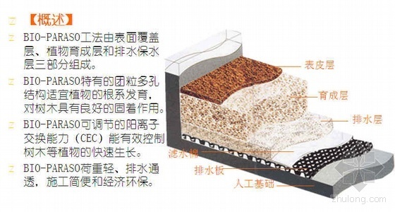 园林景观设计基础讲义资料下载-人工基础绿化技术讲义
