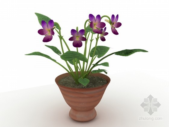 植物材质贴图资料下载-盆栽植物3d模型下载