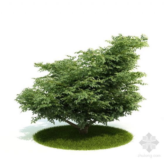 3dsu树木模型下载资料下载-树木008