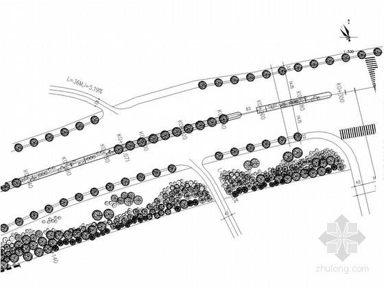 [长沙]学士路道路工程绿化施工图-乔木种植平面图 