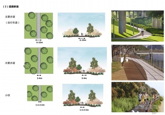 [南阳]城市滨水文化休闲走廊景观规划设计方案（包含指标和投资估算）-道路断面