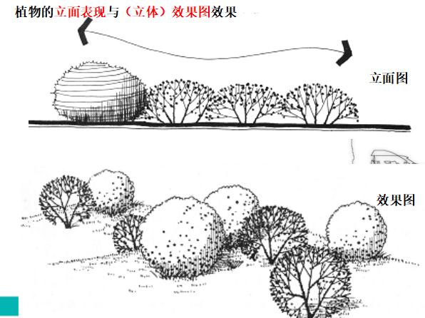 园林绿化手绘表现技法_5