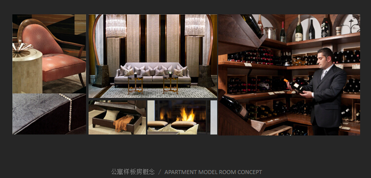 [湖北]CCD--武汉绿地新中心服务式酒店公寓方案文本-公寓样板房概念2