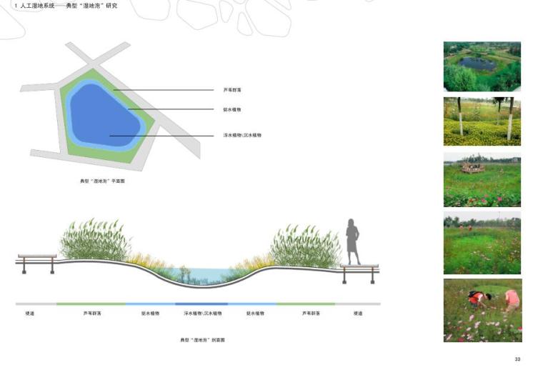 [哈尔滨]群力新区生态湿地公园景观方案设计pdf（120页）-人工湿地系统——典型“湿地泡”研究