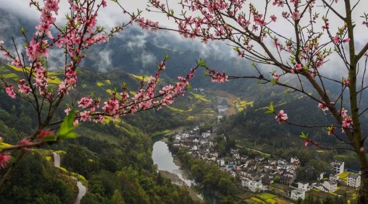 乡村民宿景观设计|要点_6