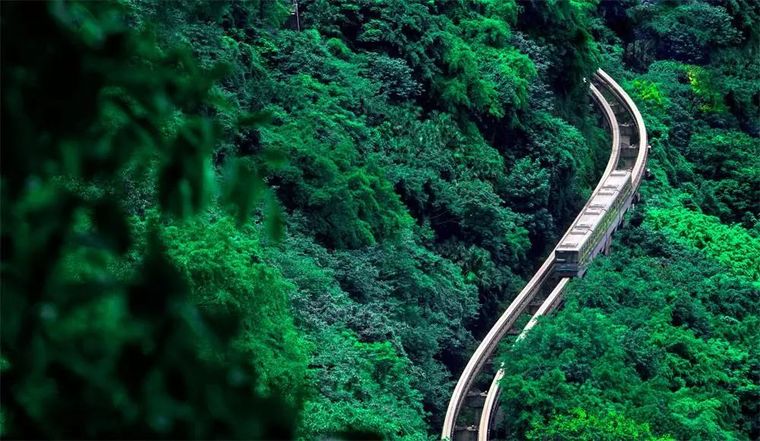 道路专业专业术语资料下载-地铁专业术语缩略语全了，非常有用！