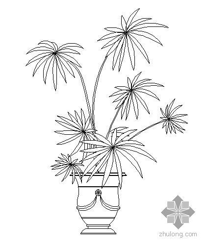 3D植物装饰盆栽资料下载-盆栽植物图块7