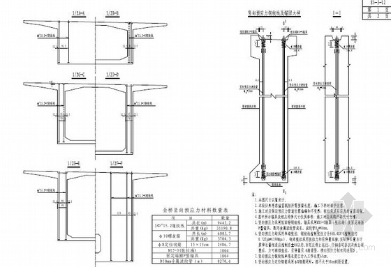 [湖南]预应力变截面现浇箱梁大桥及接线道路工程施工图458页-横竖向预应力锚固大样图 