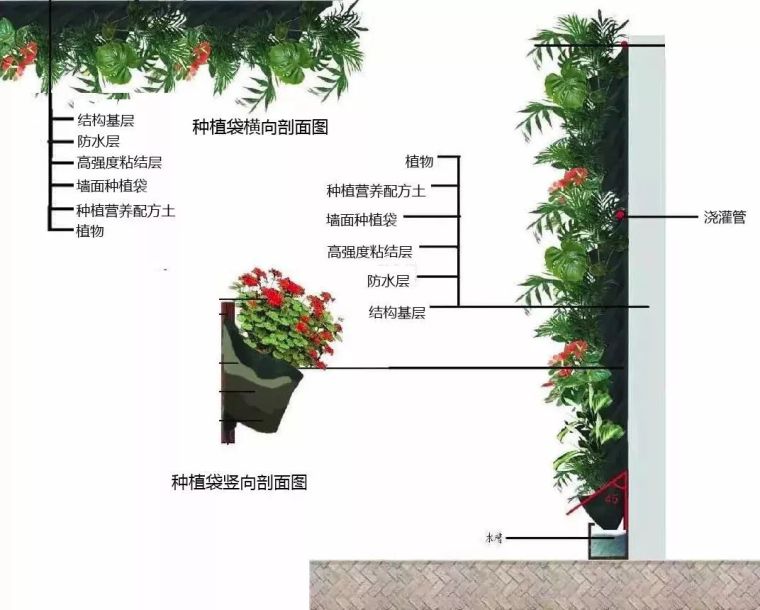 因为装了绿植墙，所以他的“蛙”变成回家狂！_14