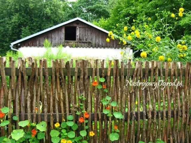 欧式小院围墙CAD资料下载-在篱笆小院中，待繁华落尽时，与你静守流年