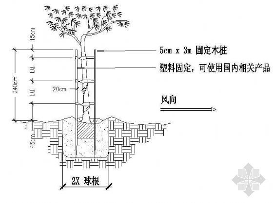 压板固定法资料下载-一般树固定详图