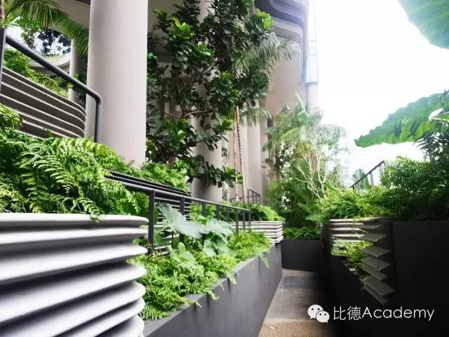 震惊了！新加坡的垂直绿化建筑 ..._34