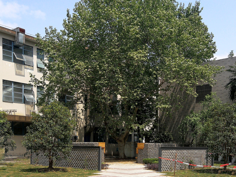 上海同济大学四平路校区景观-003-four-squares-landscape-micro-update-of-siping-road-campus-of-tongji-university-china-by-tjad