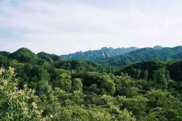 四个老男孩在北京郊外租下一条山谷，创造了一个乌托邦世界_1