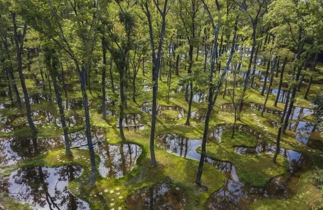 水上建筑su资料下载-日本建筑师做了个梦幻水上花园，细腻到令人发指！