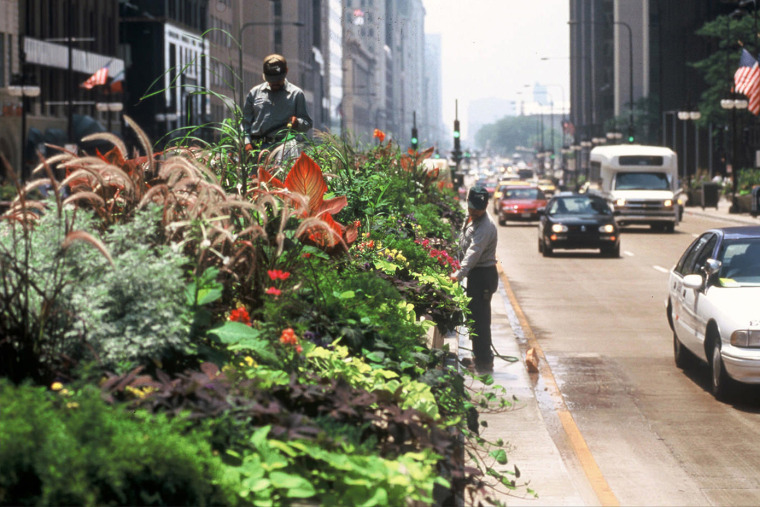 美国密歇根大道街景观-MichiganAvenue_7