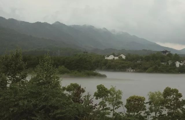 [植物配置]浅析河岸景观的生态修复_6