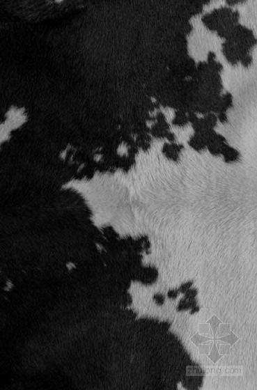 魁北克黑白风格的翻新资料下载-黑白地毯
