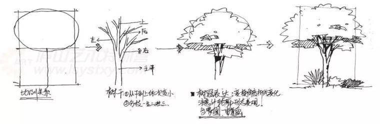 作为景观设计师必须掌握的景观线稿表现_4