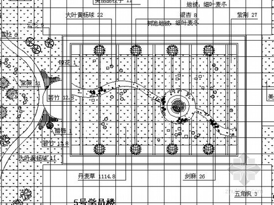 江苏校园植物施工图资料下载-[河北]某校园植物种植设计施工图